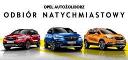 Zobacz samochody dostępne do natychmiastowego odbioru w salonach Opel AutoŻoliborz, Warszawa, Ząbki, Piaseczno.
